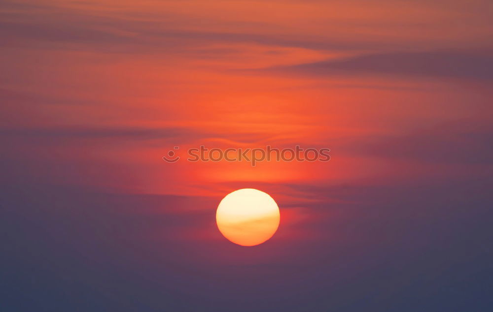 Similar – Image, Stock Photo blazing sun Nature