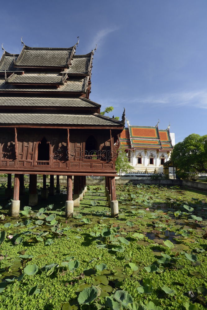 Similar – Pavilion in the Lotus Sea