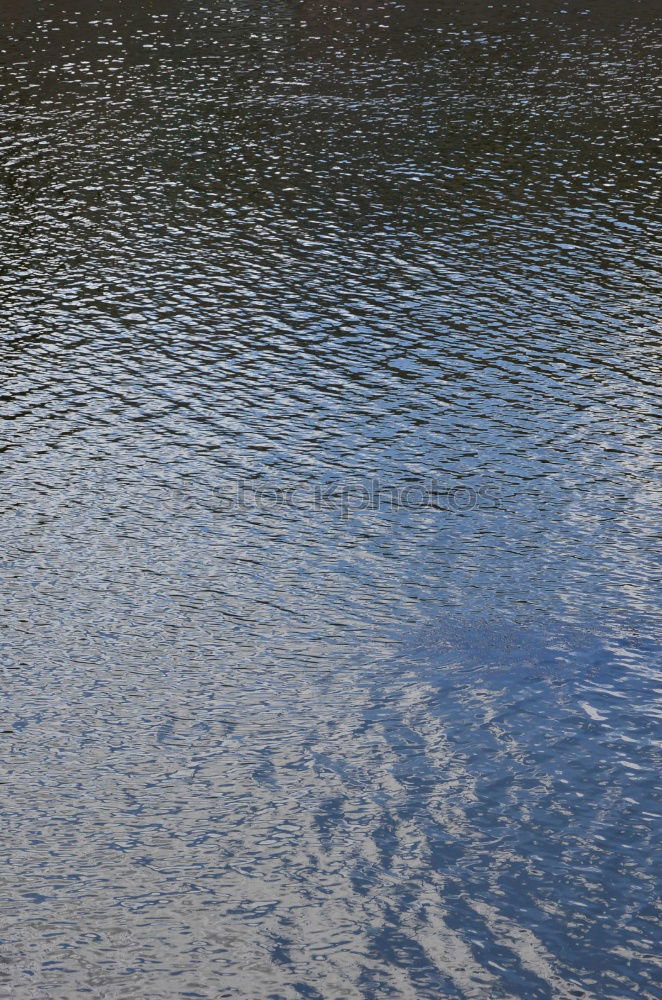 Similar – Foto Bild Einzelner Goldfisch unter Wasserstrahl im Gartenteich