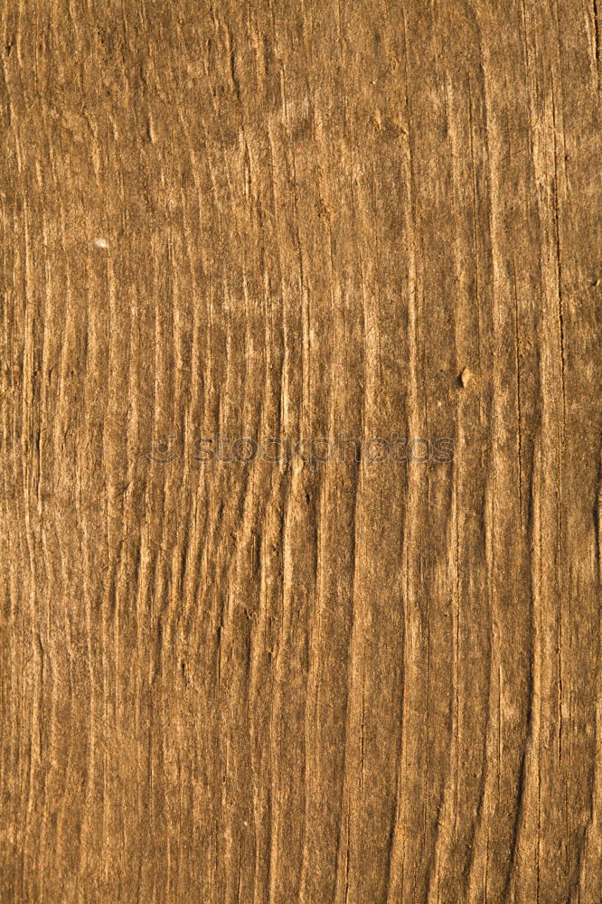 Similar – 45° Wood Esthetic