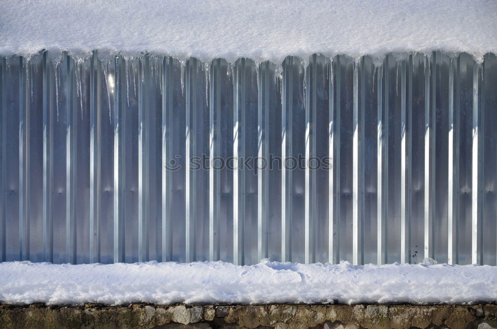 Similar – Foto Bild Blume Wand Zaun Sonne
