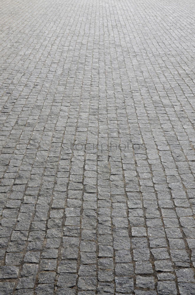 Foto Bild Wochenmarkt Marktstand