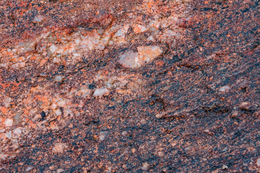Similar – Image, Stock Photo lichen again Rock