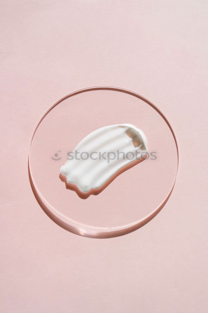 Similar – Image, Stock Photo white feather on blue and pink background