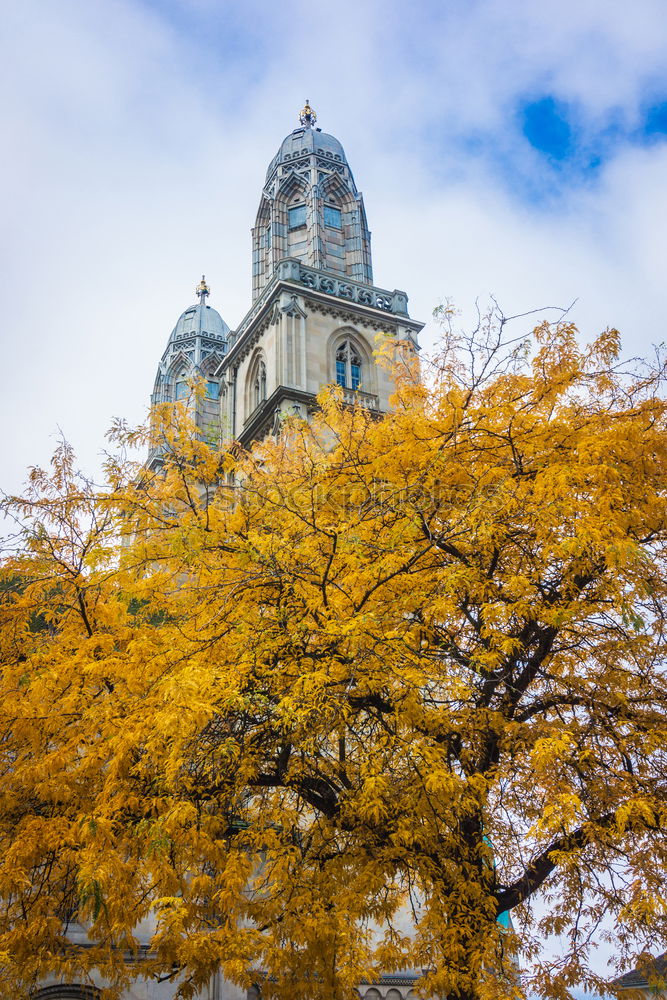 Similar – Frauenkirche Dresden in spring