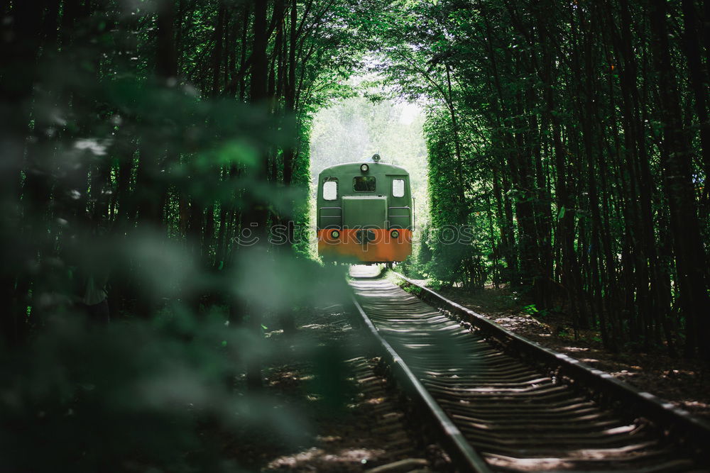 Similar – Image, Stock Photo train ride Nature