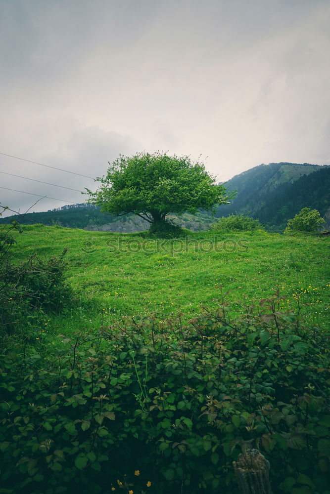 Similar – Image, Stock Photo Big field and high hills in cloudy weather