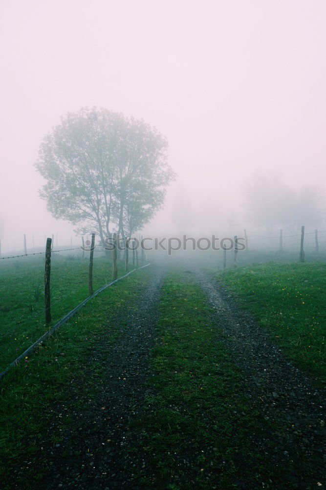 Similar – Image, Stock Photo fence without end Fence