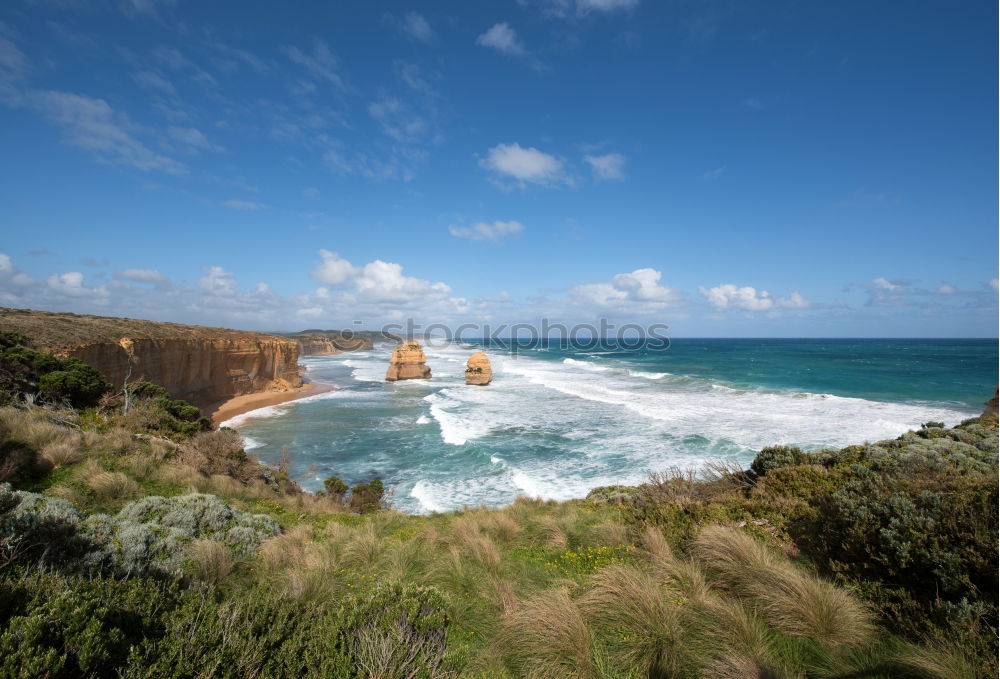 Similar – Algarve Environment Nature