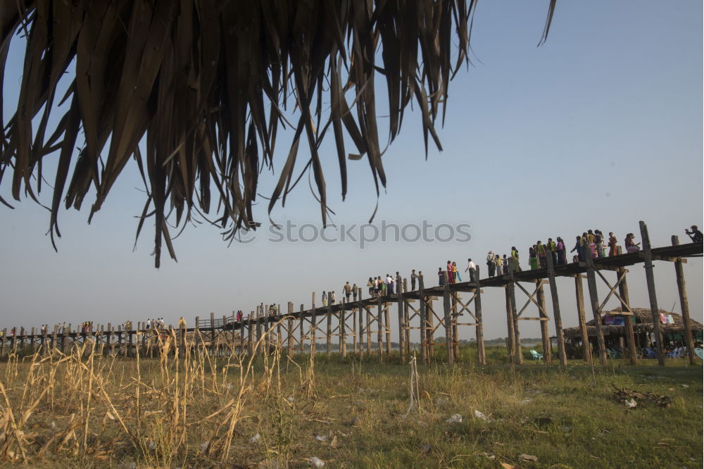 Image, Stock Photo Roofwards