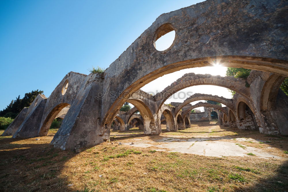 Similar – Image, Stock Photo Forum Romanum: Semper floreat!