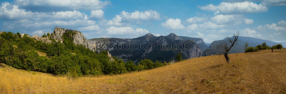 Similar – Berg an Gräsern und Bäumchen