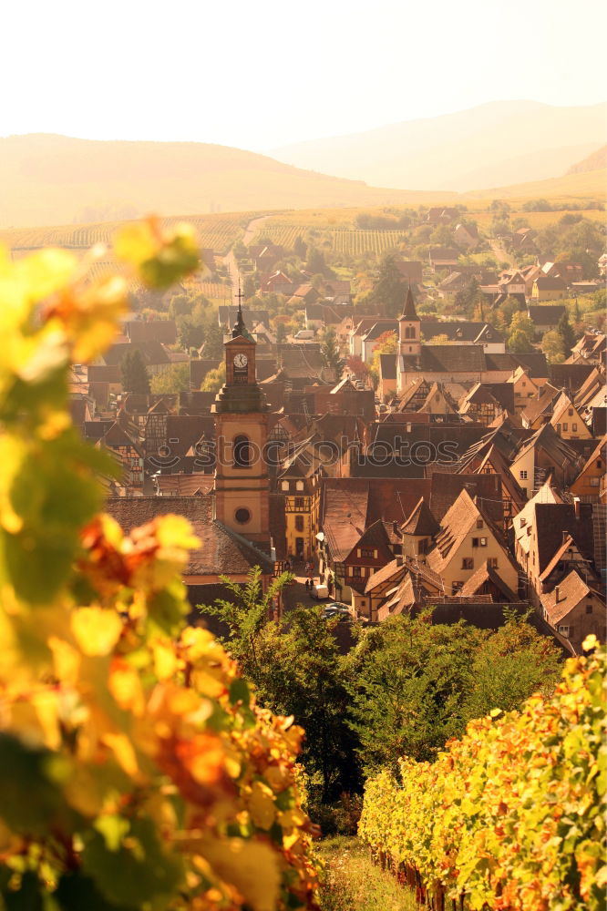 Similar – Image, Stock Photo resin Wernigerode Germany