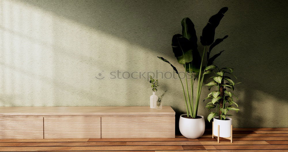 Similar – Image, Stock Photo Anonymous Plants Flower