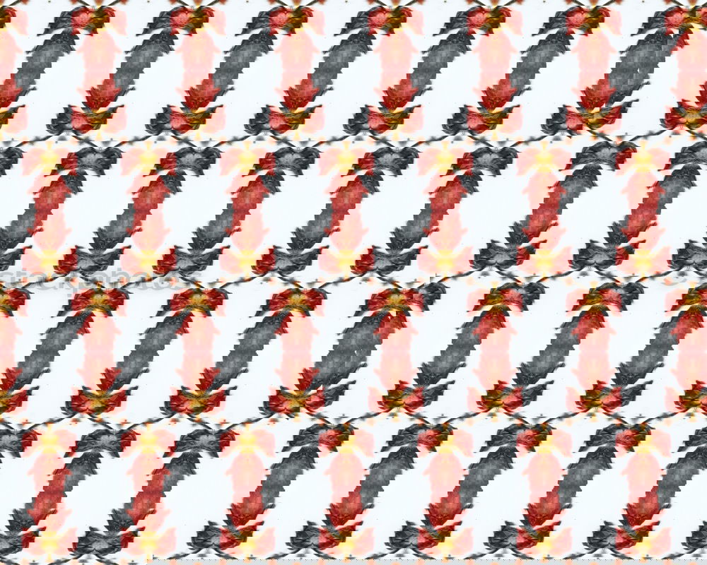 Similar – Image, Stock Photo Santa bag pattern on red