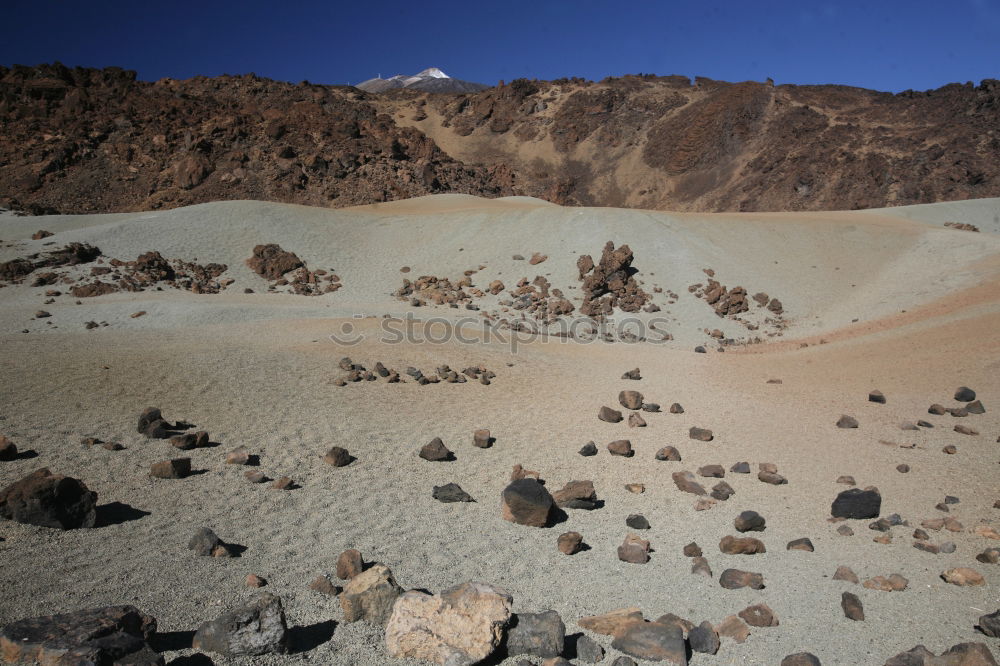 Similar – Image, Stock Photo desert Tree Egypt Desert