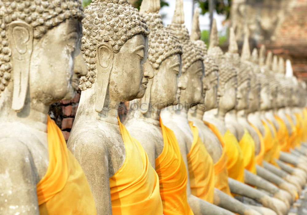 Similar – Image, Stock Photo golden statues in 1000 Buddhas Temple in Hong Kong.