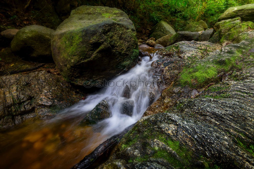 Similar – mystery Nature Landscape