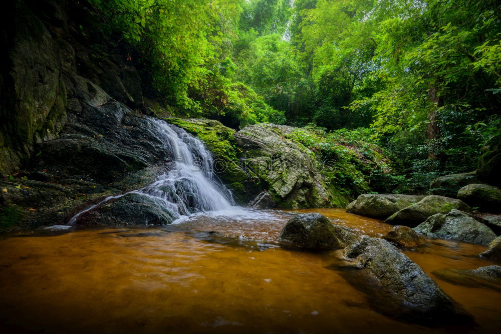Similar – Image, Stock Photo green Environment Nature