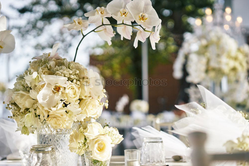 Similar – Image, Stock Photo candle lit dinner Crockery