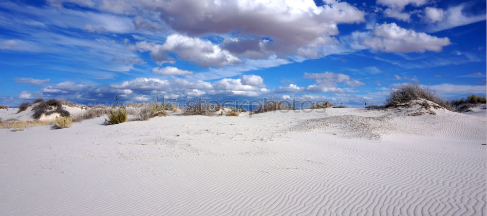 Similar – western beach Environment