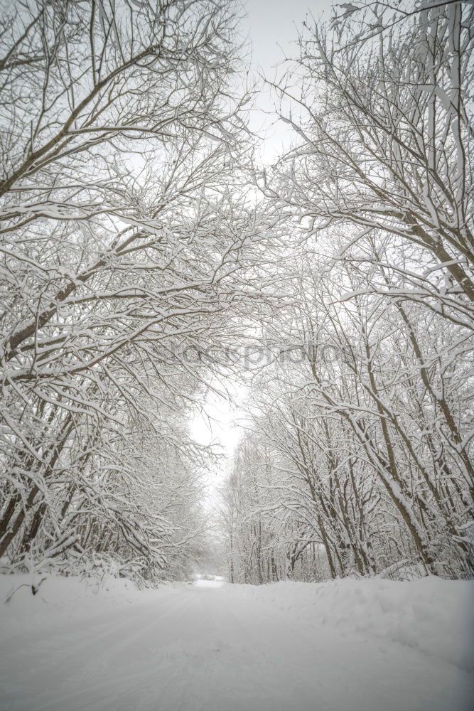 Image, Stock Photo Lower Saxony Siberia