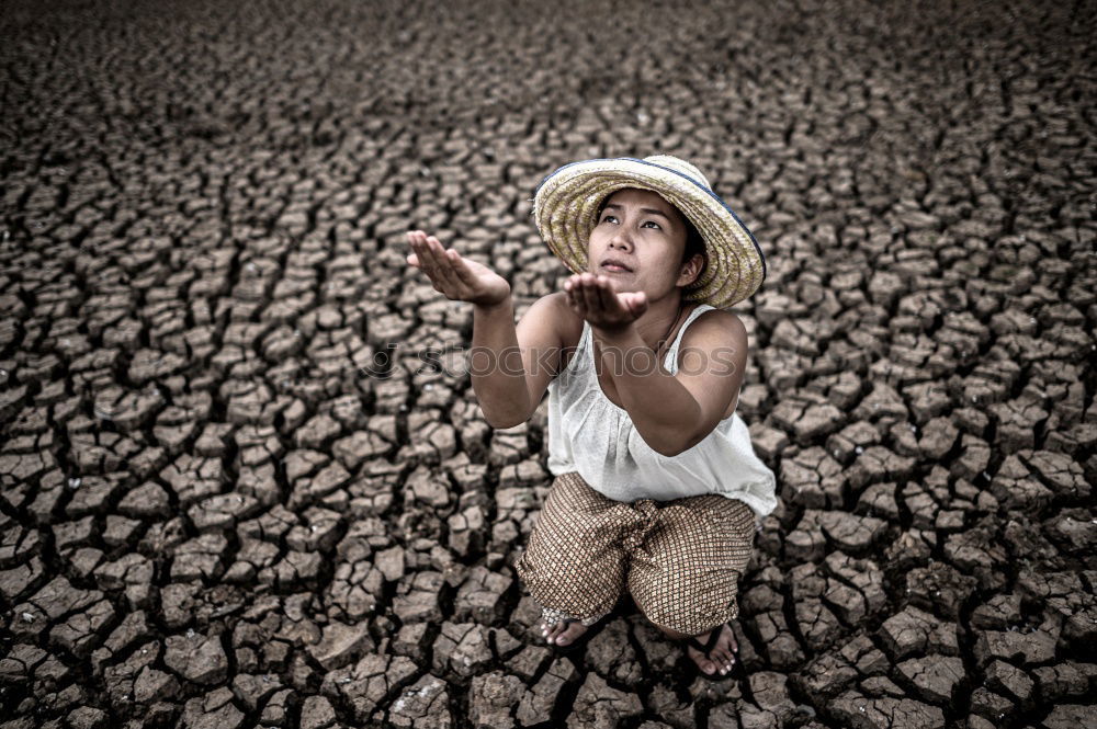 Similar – Image, Stock Photo #AS# Horst and the salad bowl