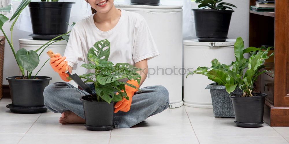 Similar – Image, Stock Photo Stock photo of transplanting plant