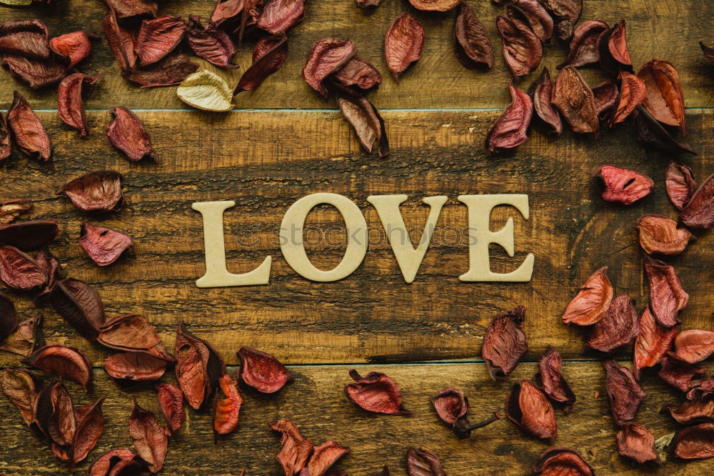 Image, Stock Photo word love written on the gray wooden surface