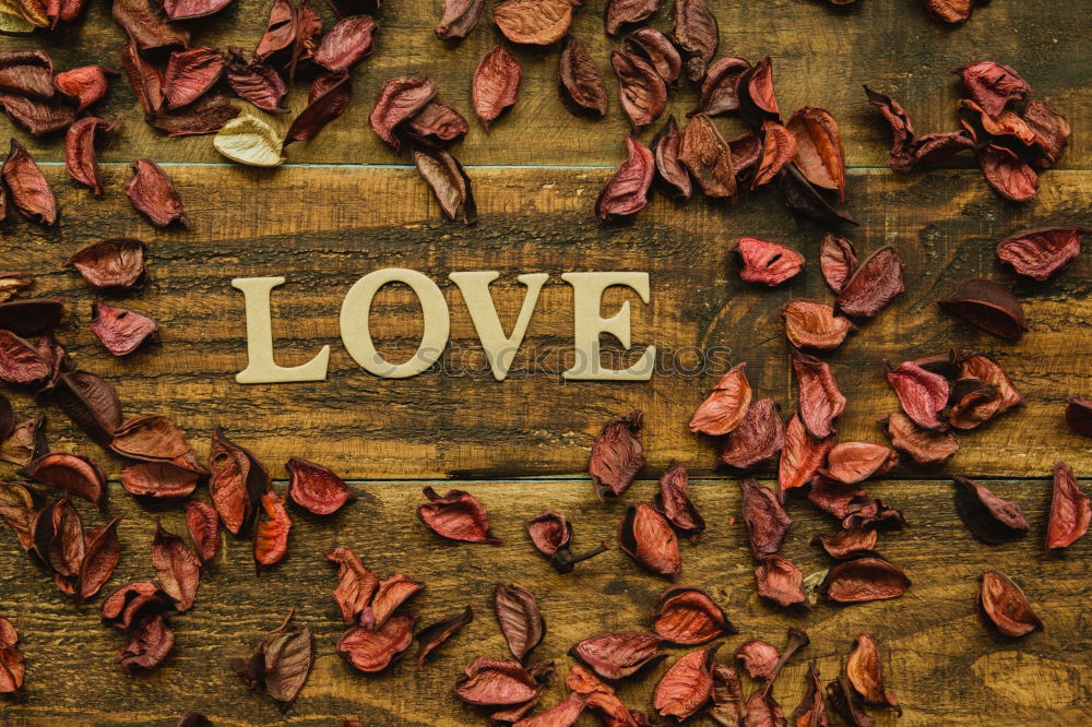 Similar – Image, Stock Photo word love written on the gray wooden surface