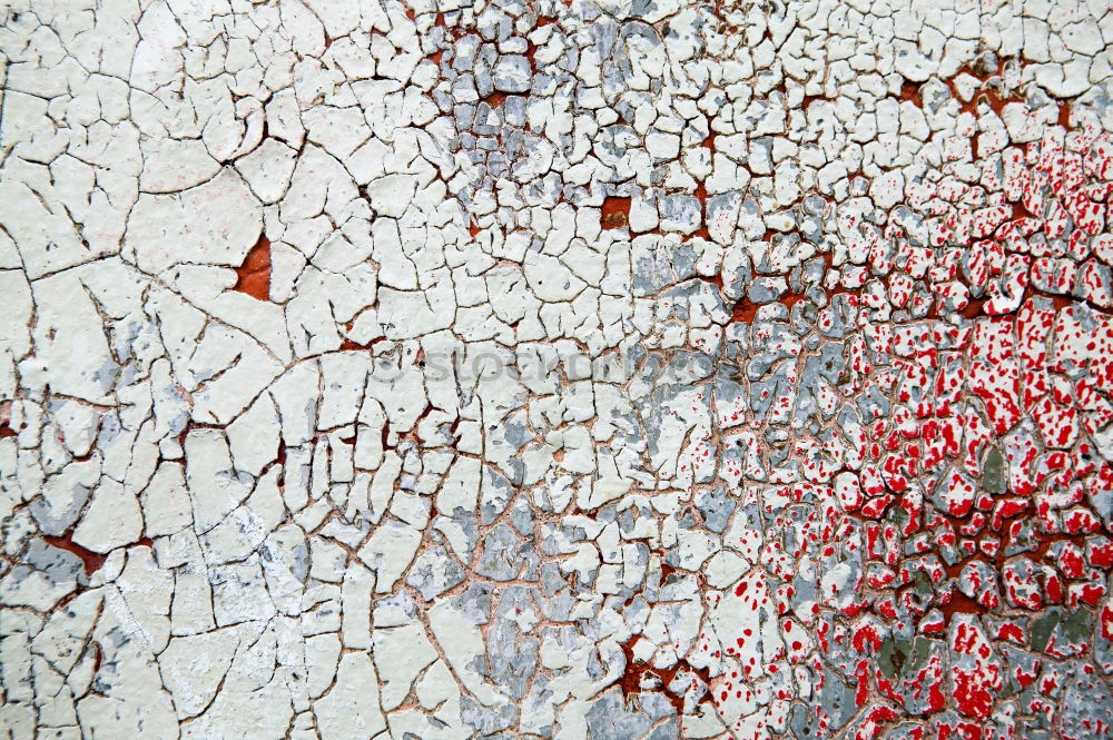 Similar – Image, Stock Photo fossil Metal Old To dry up