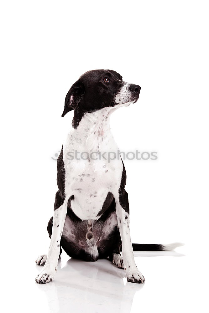 Similar – Image, Stock Photo relaxation Lifestyle