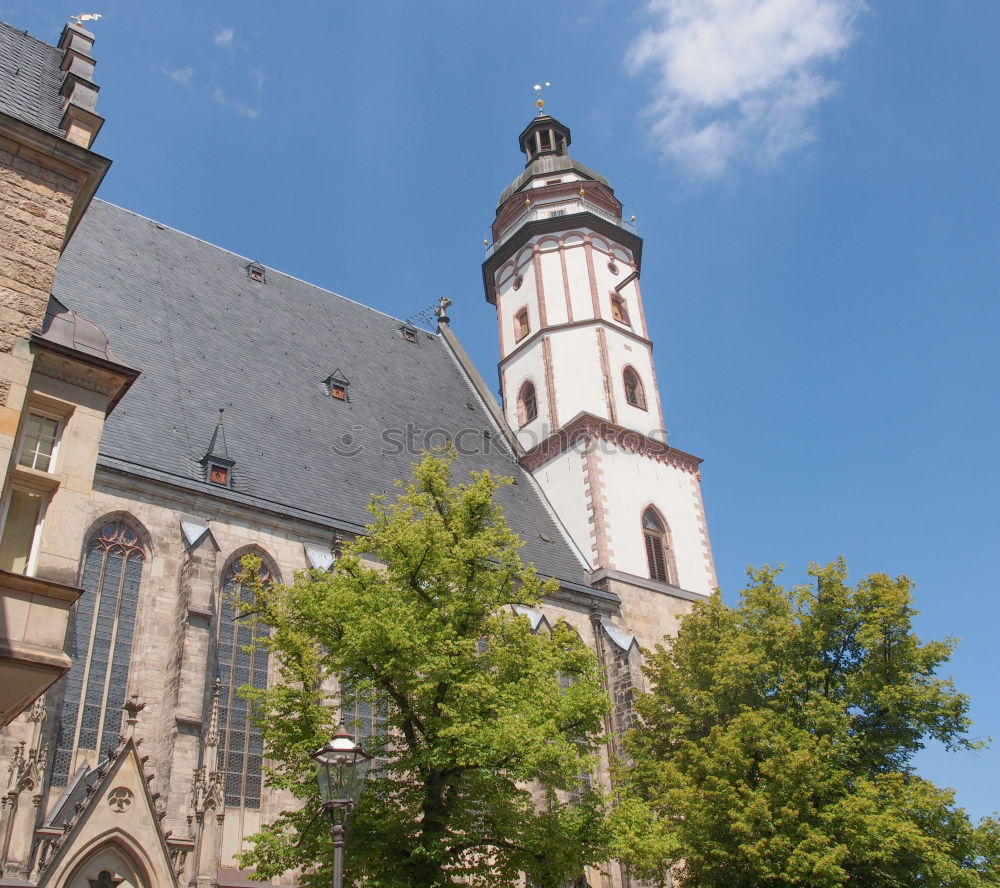 Similar – Image, Stock Photo rapunzel@schlossturm.de