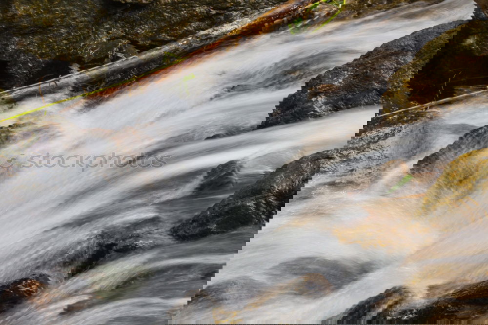 Similar – Image, Stock Photo Crystal clear Nature Water