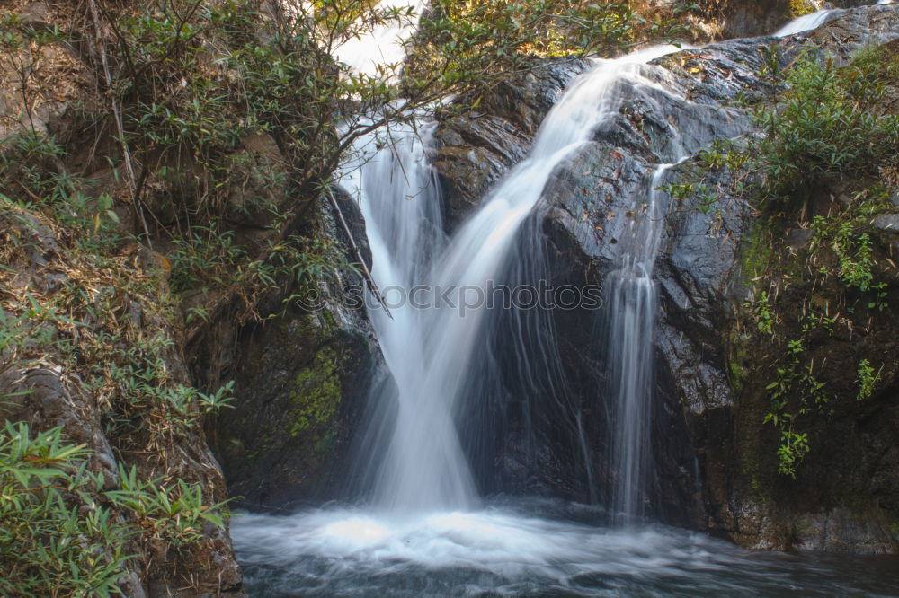 Similar – Image, Stock Photo nature 1.1 Water