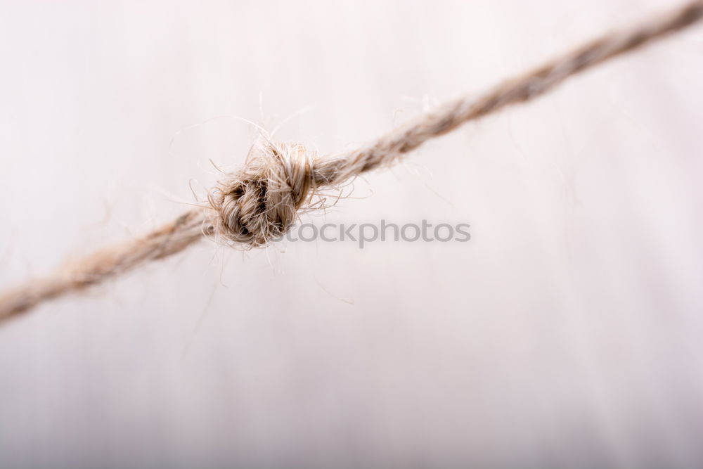 Similar – Image, Stock Photo barbed wire Barbed wire
