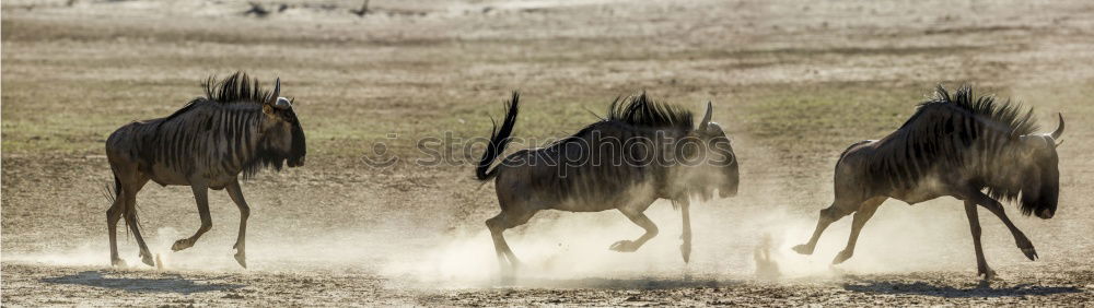 Similar – Image, Stock Photo on the run Environment