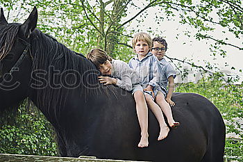 Similar – Young beautiful girl with white horse in forest. Woman horseback rider in boho style. Summertime nature scene.