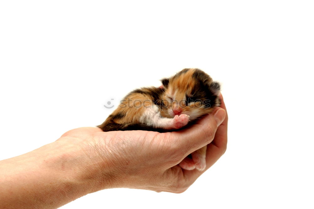 Similar – Image, Stock Photo Sleeping car (2) Child