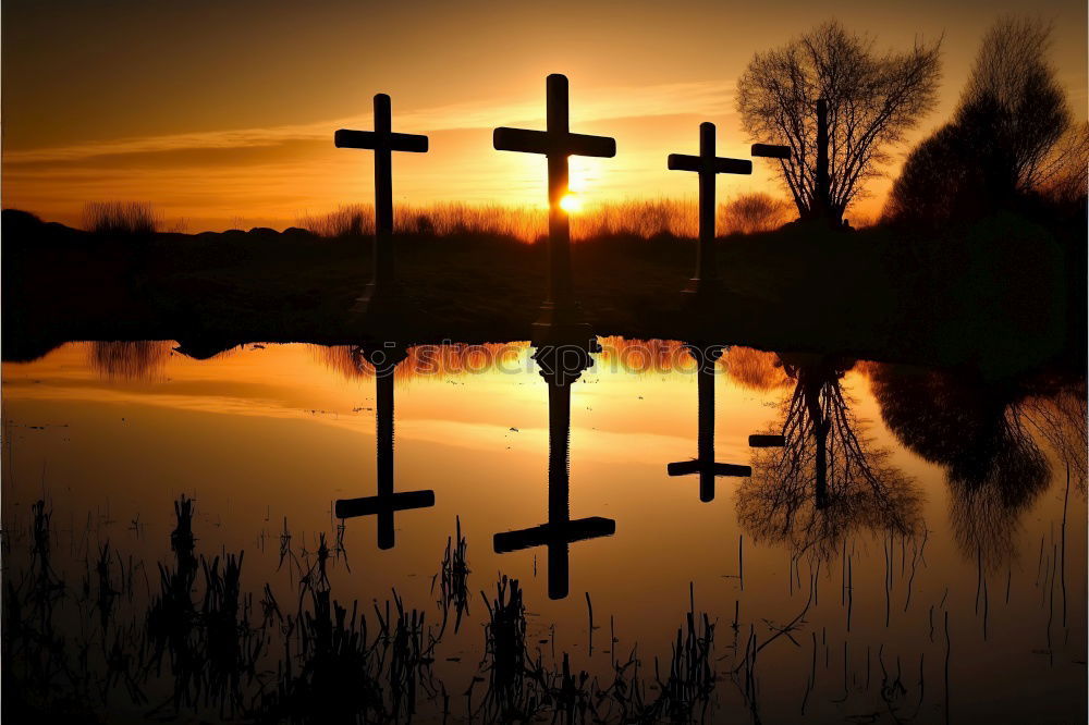 Similar – cemetery sunset Hallowe’en