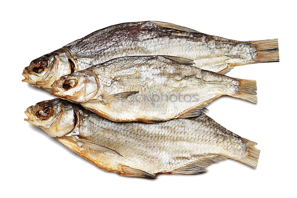 Similar – Image, Stock Photo Except! Delicious Dorade