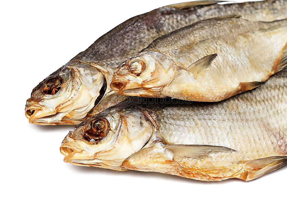 Similar – Image, Stock Photo Freshly caught Food Fish