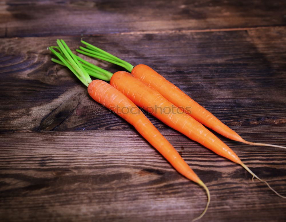 Fresh carrots tied with a rope