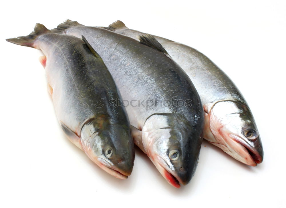 Similar – Image, Stock Photo raw trout on white paper