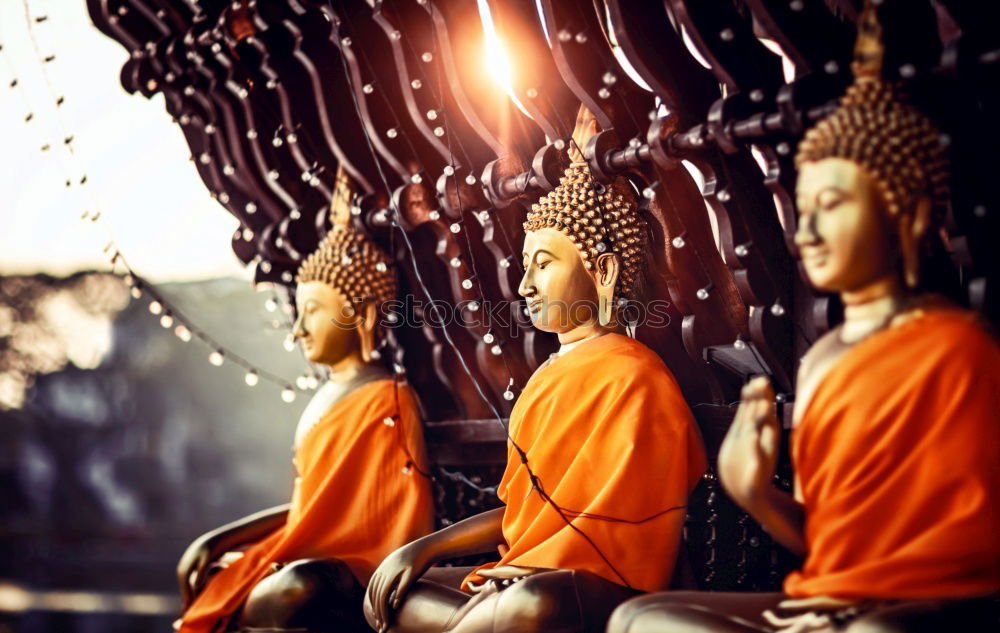 Similar – Image, Stock Photo Buddhist statues in a temple in Vietnam