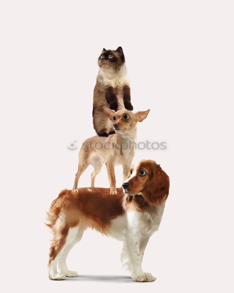 Similar – Image, Stock Photo Insulted! Wall (barrier)