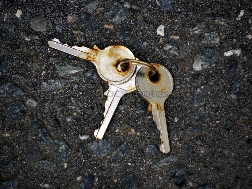 Similar – Image, Stock Photo spooky Agriculture