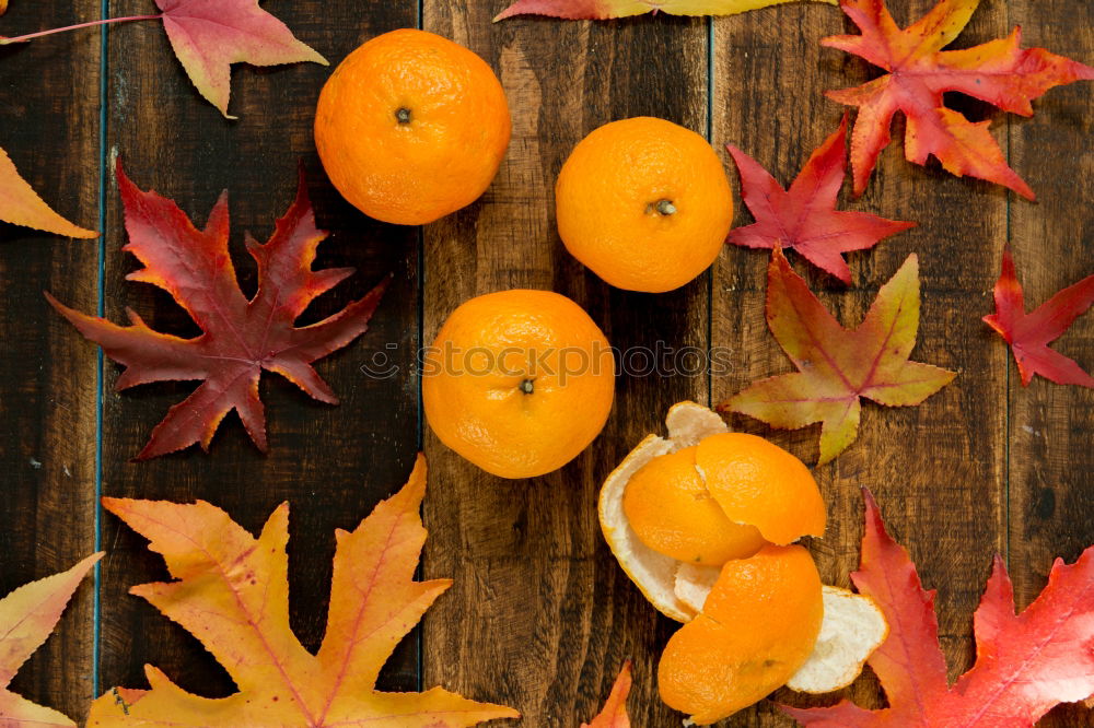 Similar – Image, Stock Photo orangery Food Lettuce