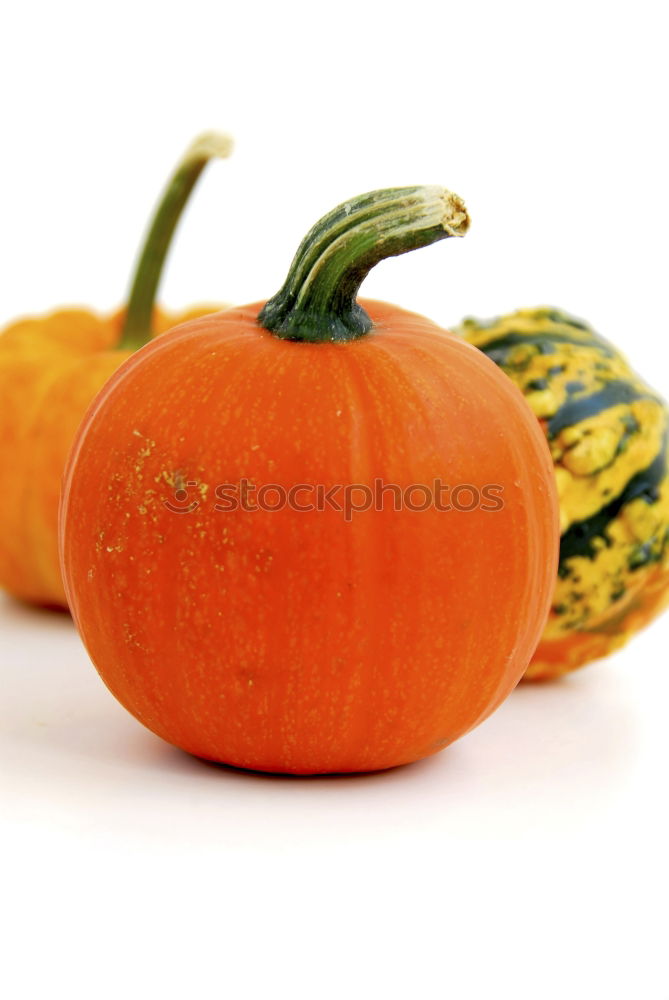 Similar – Image, Stock Photo Fresh pumpkins Food