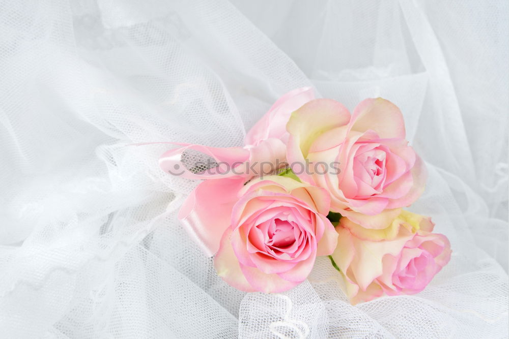 Similar – Image, Stock Photo Flowers and heart decor in vase